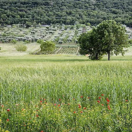 לינה וארוחת בוקר Masseria Mazzalorsa