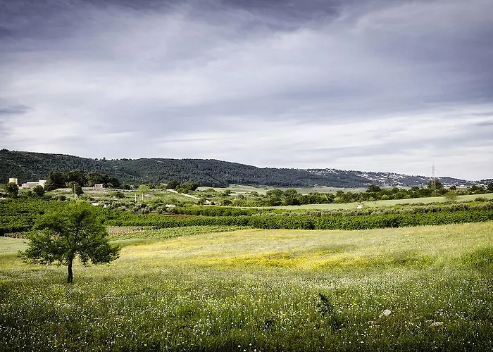 Masseria Mazzalorsa Bed and breakfast Alberobello