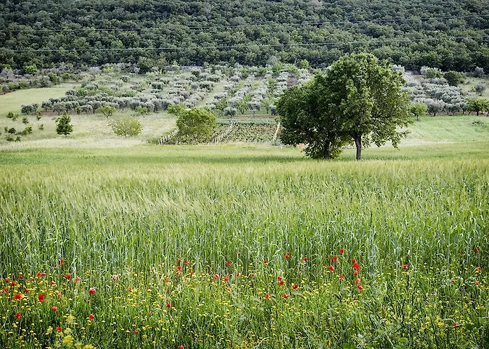 Bed and breakfast Masseria Mazzalorsa