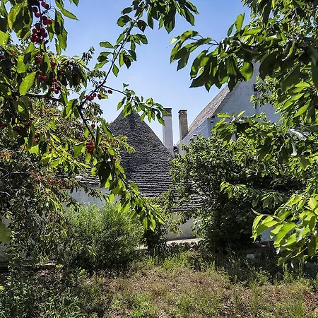 Masseria Mazzalorsa *