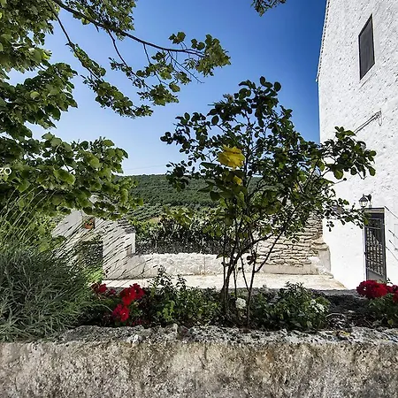 Masseria Mazzalorsa Bed & Breakfast *