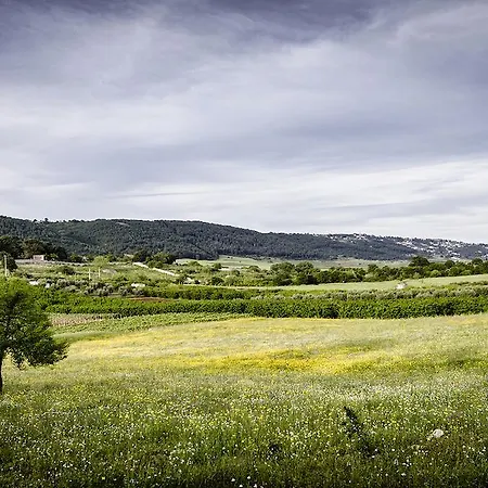 Masseria Mazzalorsa Bed & Breakfast Alberobello