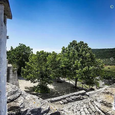 Bed & Breakfast Masseria Mazzalorsa